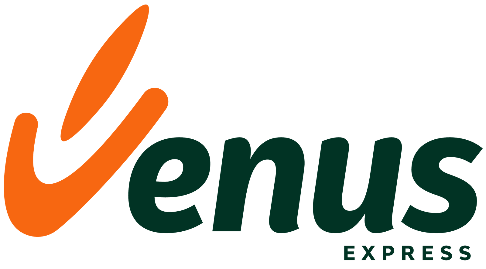 Venus express logo